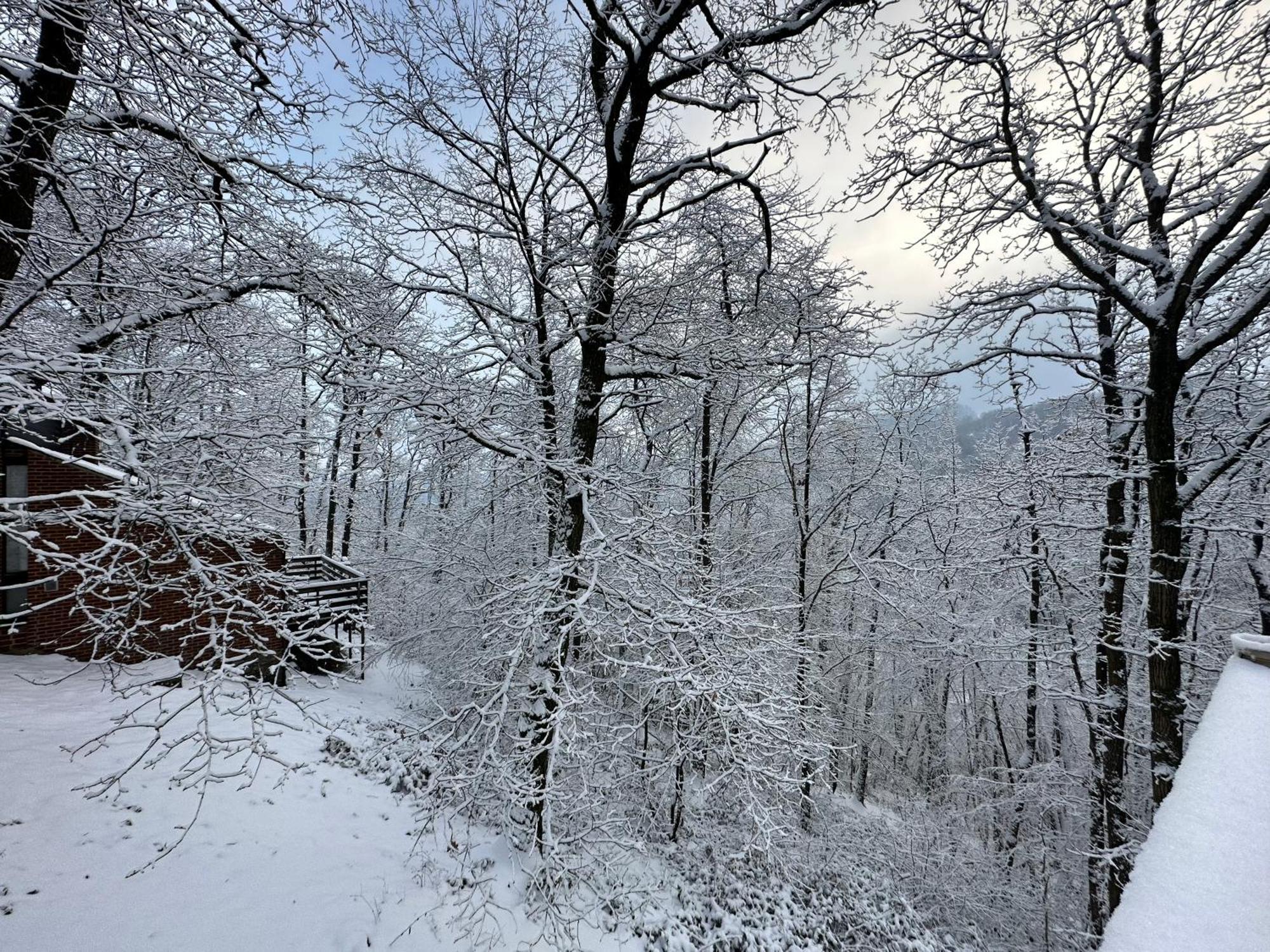 Wood House Villa Blaimont Dış mekan fotoğraf