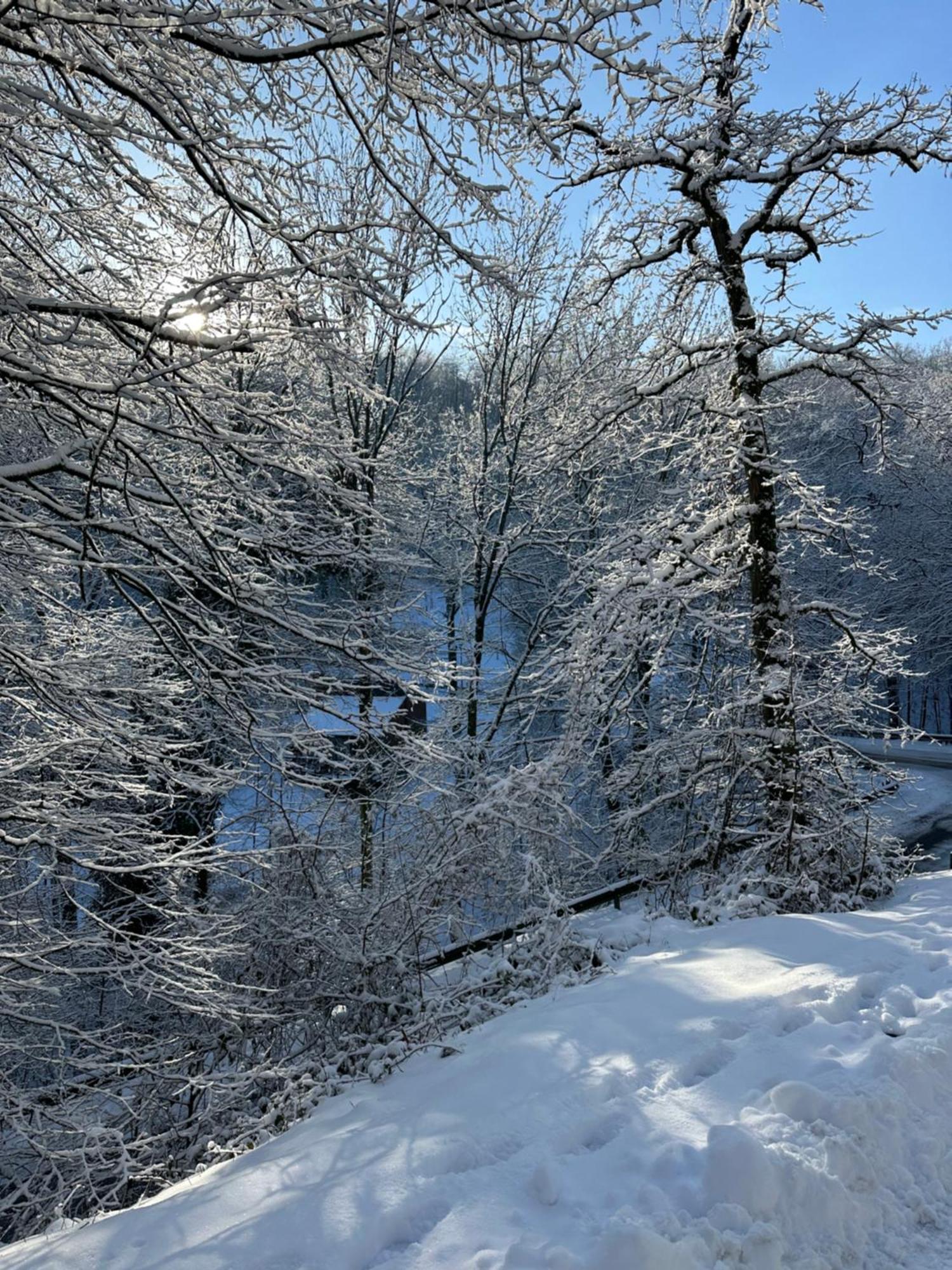 Wood House Villa Blaimont Dış mekan fotoğraf
